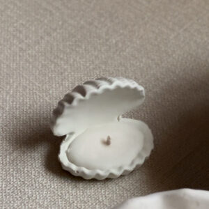 Mini seashell giveaway