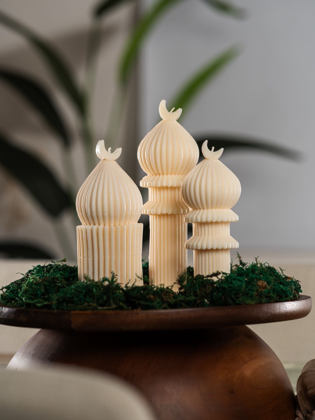 Moonlit Domes